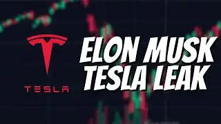 Elon Musk LEAKED Something on Friday... (Tesla Stock)