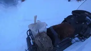Прогулка в лес, до избушки на  Тайге Патруль