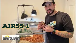 Upgraded Turtle or Tortoise Enclosure Air55-1 By Aivituvin