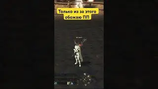 Стойка у ПП в Lineage 2 Project EVA 