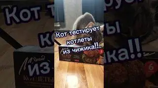 Котлеты гранд меню из чижика.