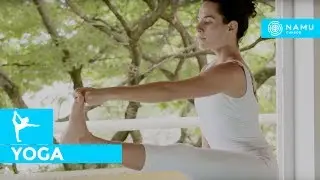 Aula de Yoga - Ashtanga Yoga para iniciantes | Heloísa Benichio