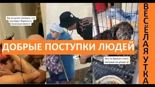 ДОБРЫЕ ПОСТУПКИ ЛЮДЕЙ | Весёлая Утка