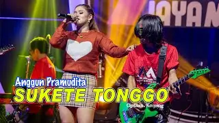 Anggun Pramudita - Sukete Tonggo (Koplo Version) - (Official Music Video)