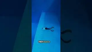 The Courage to Dive Deep 😮
