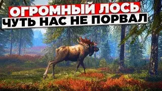 ОГРОМНЫЙ ЛОСЬ ЧУТЬ НЕ РАЗОРВАЛ - the hunter call of the wild !!! 🅻🅸🆅🅴