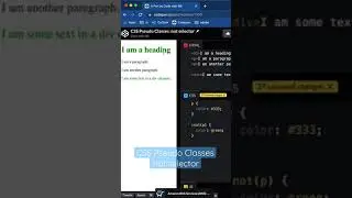CSS Pseudo Classes :not selector 