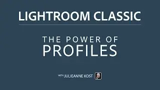 The Power of Profiles in Lightroom Classic