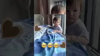 Cute baby animals Videos Compilation cute moment 