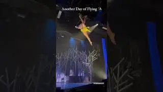 Flying 🫣 would you try? 