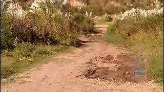 Mi Super 308      todavia falta el chanchito de butti y la banda no lo aujerea