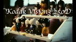 Japanese food & Kodak Vision3 250D - Dehancer