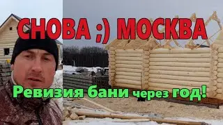 БАНЯ | СРУБ из Осины в МОСКВЕ | ОБЗОР БАНИ Через ГОД