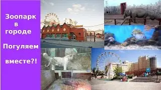 Екатеринбургский зоопарк // Зоопарк в городе, погуляем вместе?!
