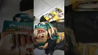 umpan pelet ikan jitu 