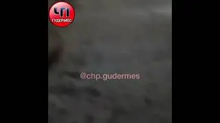 Аллаха Дала г|оле йойла хьун. 🤲🏻❤️