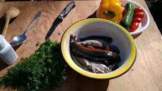 Ear from Trout Malma. Fishing on a mountain river in the wilds of the Primorsky Ussuri taiga.