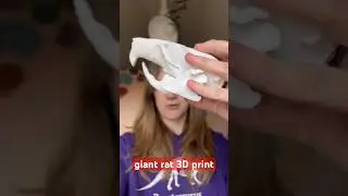 I 3D printed a brown rat skull at 400% normal size just for the h*ck of it #taxidermy #3dprinting