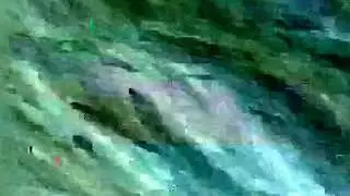 Blind Tiger - Mutt (Official Music Video)