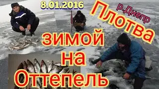 ЛОВЛЯ ПЛОТВЫ НА ОТТЕПЕЛЬ. ЗИМНЯЯ РЫБАЛКА 8.01.2016.