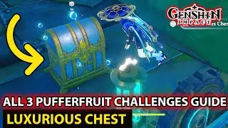 All 3 Begin Training Pufferfruit Challenges Guide Luxurious Chest Fontaine Genshin Impact Update 4.1