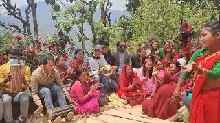 सुर्खेत बुलबुले जाउला नचौला | Dance Surkheta Bulbule Jaula