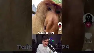 БРАТИШКИН И ЭВЕЛОН 