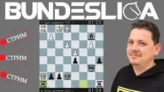 [RU] ИГРАЕМ В ШАХМАТЫ на lichess.org