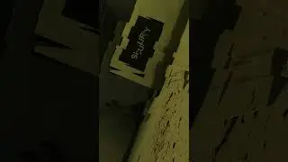 LIMINAL VIRUS 5
