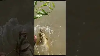 Добрался до сазаньего острова! Водный поход за сазаном!