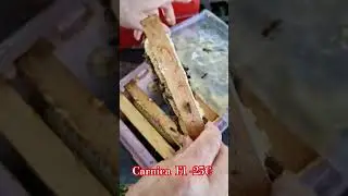 Остатки Карника Ф1, продаем