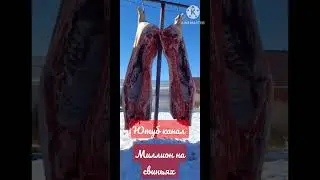 🤑 миллион на свиньях 👍👍👍