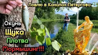 Окунь Щука Плотва - Мормышинг!!! Ловлю в Каналах Петергофа⛲