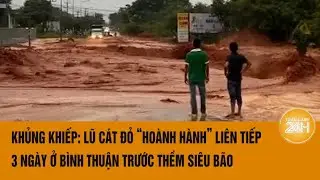 Khủng khiếp: Lũ cát đỏ 'hoành hành' liên tiếp 3 ngày ở Bình Thuận trước thềm siêu bão