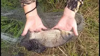 Кастинговая сеть в малой реке