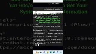 Use ‘cat /etc/redhat-release’, or ‘cat /etc/os-release’ To System Version Information 