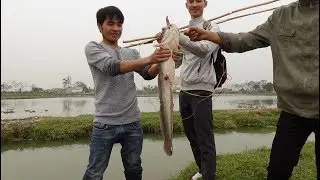Catching BIG Catfish | Electric Fishing