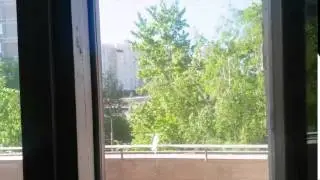 Птица мухоловка