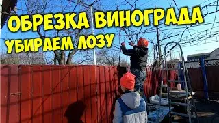 Обрезка винограда весной 👉 Обрезка виноградной лозы 🐓 Собираем яйца у кур