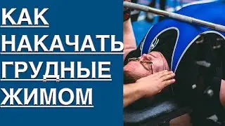 КАК НАКАЧАТЬ ГРУДНЫЕ МЫШЦЫ ЖИМОМ ЛЕЖА