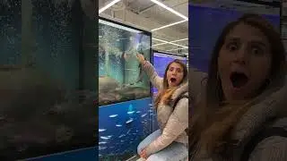 ЭТО НЕ ПРИВЫЧНО ДЛЯ МЕНЯ В БЕЛОРУССКИХ СУПЕРМАРКЕТАХ 