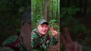 Вспомни🐺🤟🫠 #Лето #песняхит