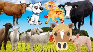 Domestic Farm Animal Sound - cow, camel, pig, horse, sheep, goat, rabbit, llama