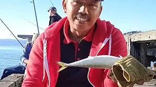 Spot Mancing Paling Asooy Lurrr #mancing #wellington