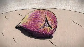 無花果 | Fig