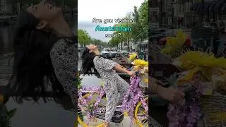 Day Trip Ideas From Amsterdam, Add This In Your Netherlands Itinerary 