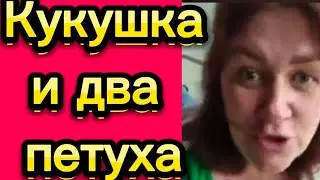 Кукушка и два петуха. Теперь из-за забора им не войти 🤦‍♀️Деревенскийдневникоченьмногодетноймамы