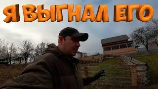 ИСПУГАЛСЯ И ВЫГНАЛ ЕГО  В ЛЕС ! РАЗБИРАЮ БАНЮ ! К ЗИМЕ ГОТОВЫ ! [Жизнь в деревне]