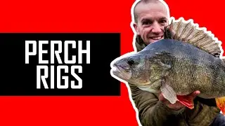 RIGS for 3 lb. MONSTER PERCH | Part 1 | 100 BIG PERCH CHALLENGE