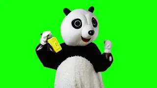 Green Screen Panda Bear 3D Animation for Chroma key